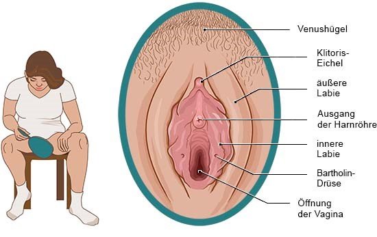 Die Grafik zeigt die äußeren weiblichen Geschlechtsorgane (Vulva) in Detailansicht und benennt ihre sichtbaren Anteile. 